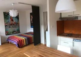 Beau studio meublé 29m2 hyper centre Strasbourg Strasbourg