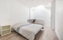 Colocation 3 chambres dans grande coloc 100m² place Stanislas