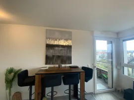 Location Magnifique F2 contemporain avec ascenseur+parking