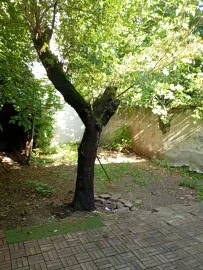 Location F2 + jardin privatif - 58m² métro CUSSET (ligne A)