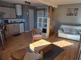 Grand Studio meublé 24m² au calme Lille