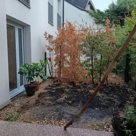 Location Appartement de type F3 quartier Abbaye