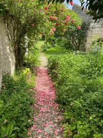 Location Maison de famille avec jardin sur la Charente