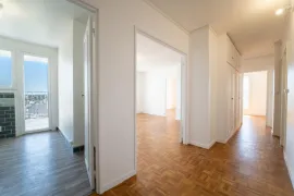 Location Vue lac & Tour Eiffel - Lumineux - 71m₂ rénové