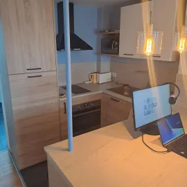 Location Apt Meublé Montrouge 53M2 Parking