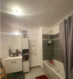 Location Location meublée appartement 3 pièces 65 m² Nanter
