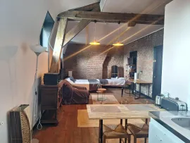 Location Magnifique studio, calme, avec charme et cachet