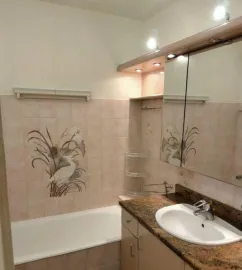 Colocation Location meublée chambre 14 m² Lyon 8E