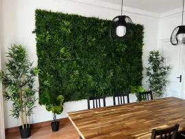 Colocation Carrer de Muntaner, Barcelona