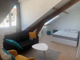 Location Beau studio entièrement meublé 22m² refait à neuf