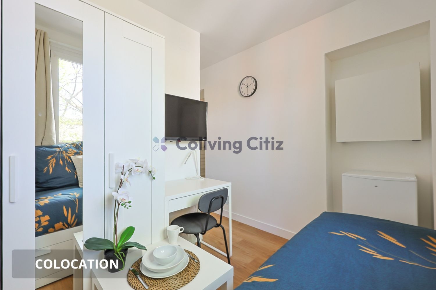 Colocation Chambre en colocation