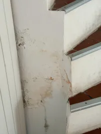 Vente Maison à rénover - jardin -possibilité 2 logements