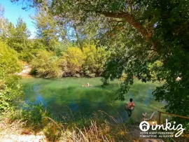 Vente Maison 14 pièces