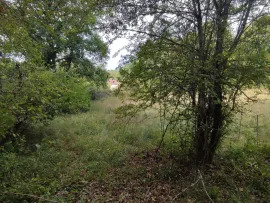 Vente Terrain 12864 à CROIGNON