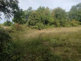 Vente Terrain 12864 à CROIGNON