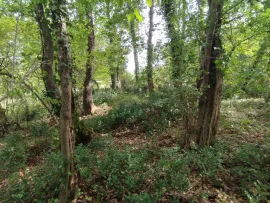 Vente Terrain 12864 à CROIGNON