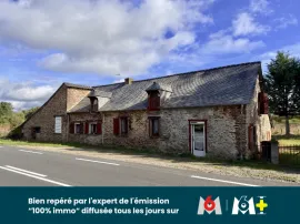 Vente EXCLUSIVITÉ - A RÉNOVER - PONT-PÉAN - LONGÈRE 211 M² + APPARTEMENT INDÉPENDANT +