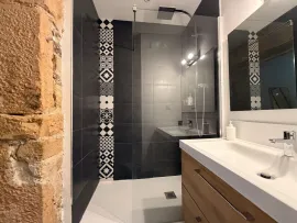 Location Charmant appartement meublé et rénové LYON 1