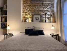 Location Charmant appartement meublé et rénové LYON 1