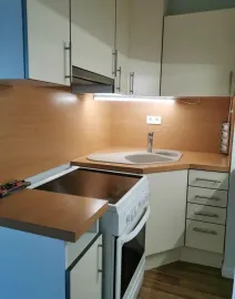 Location Beau 2P 49m2 à Saint-Maurice bois de Vincennes