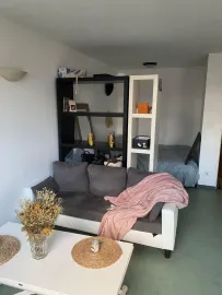 Location Studio cosy de 31 m2 en sous-location à Rouen 560€