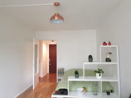 Location Lumineux studio 28m2- 75020