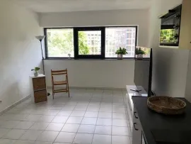 Location T2 rénové 33m² Timone Fac des Sciences