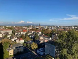 Appt meublé rénové avec vue panoramique (centre) Mulhouse
