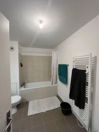 Location Bel appartement lumineux de 46m2 vous attend !