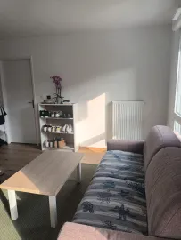 Location Bel appartement lumineux de 46m2 vous attend !