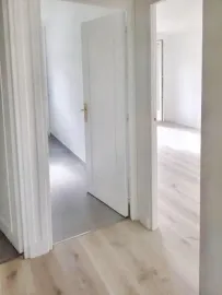 Bel appartement rénové, ensoleillé et lumineux Nogent-sur-Marne