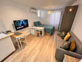 Location Très beau studio 21 m2. Climatisé. WIFI fibre.