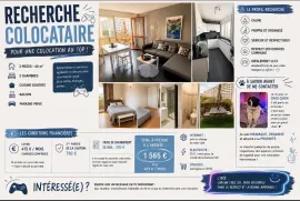 COLOCATION APPARTEMENT LONGJUMEAU 60m2 Longjumeau