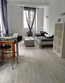 Beau 2P meublé et rénové 48m² lumineux et calme Saint-Étienne