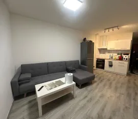 Studio meublé plein sud rénové de 39 m² Roubaix
