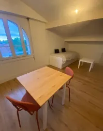 Location Bel appartement mansardé meublé mansardé 16,5m²