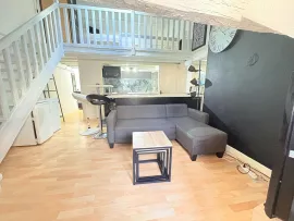 Location T3 hypercentre bord de Loire