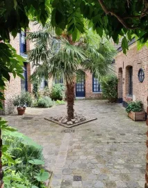Location Maison meublée 60m² en plein cœur du vieux Lille