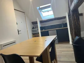 Location Grand studio 42m2 climatisé meublé -parking