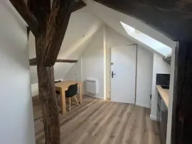 Location Grand studio 42m2 climatisé meublé -parking