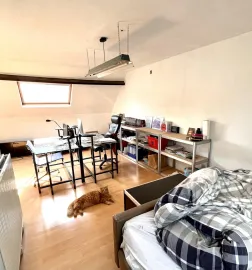 Location Brugsesteenweg, Gent